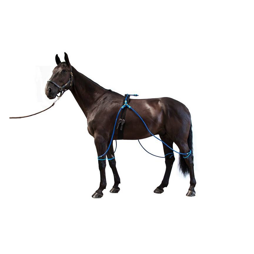 Equine Legcooler
