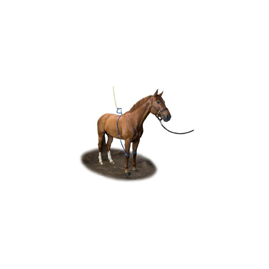 Equine Legcooler