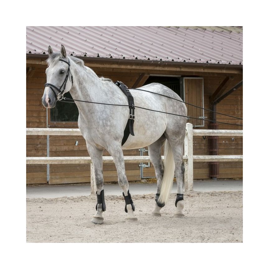 Riding World Long Reins