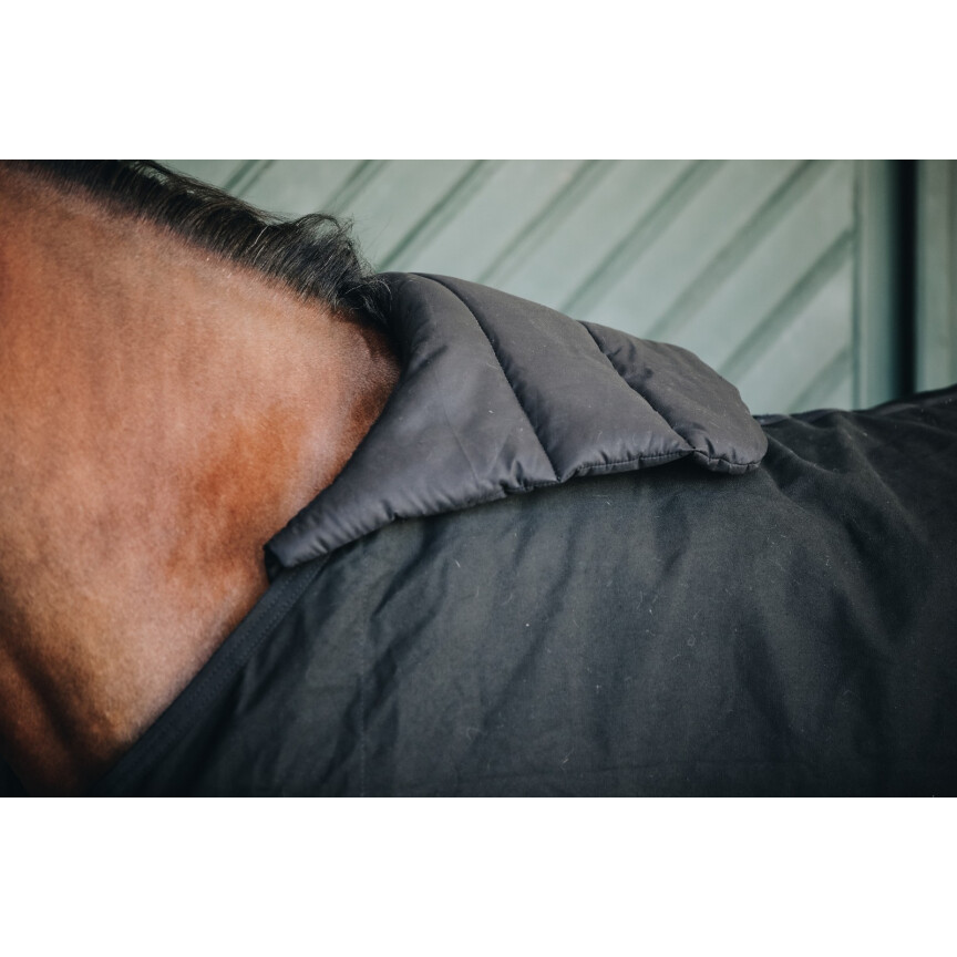 protection de poitrail Kentucky Horse bib summer 