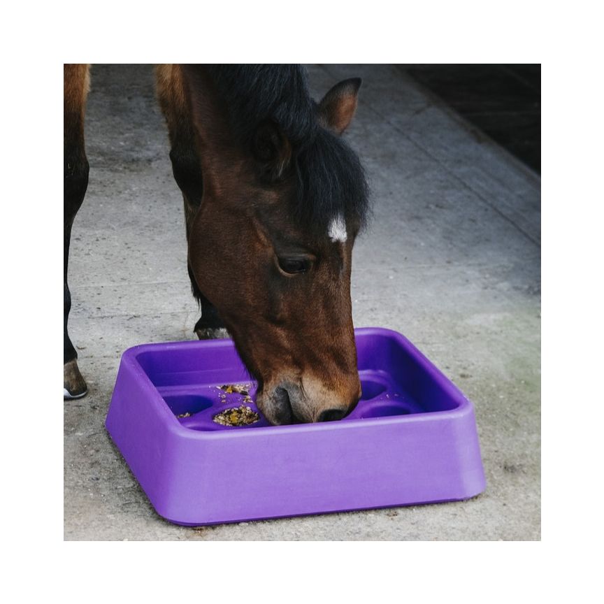 Hippotonic Feeder Guard-Dual Purple