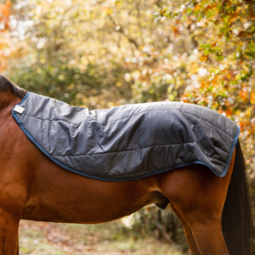 Rambo autumn series liner
