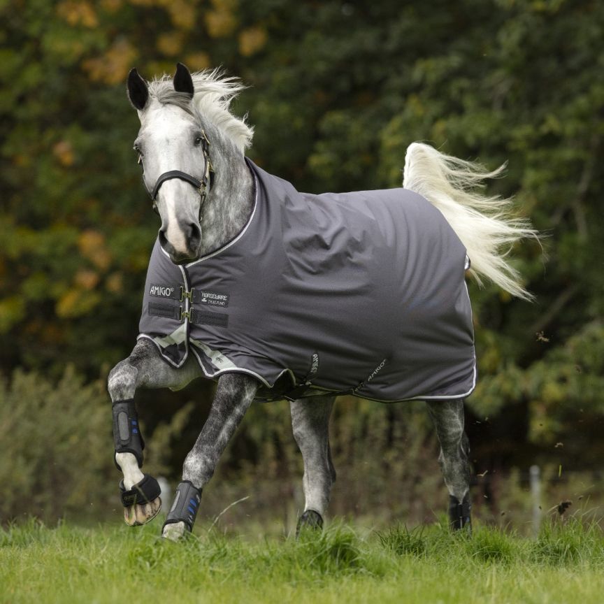 Amigo Bravo 12 Medium Grey