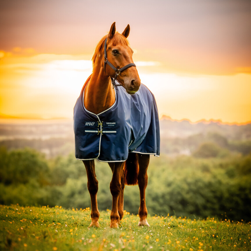 Amigo Hero 900 D Ripstop 50 gr Fleece Lined Navy Witney