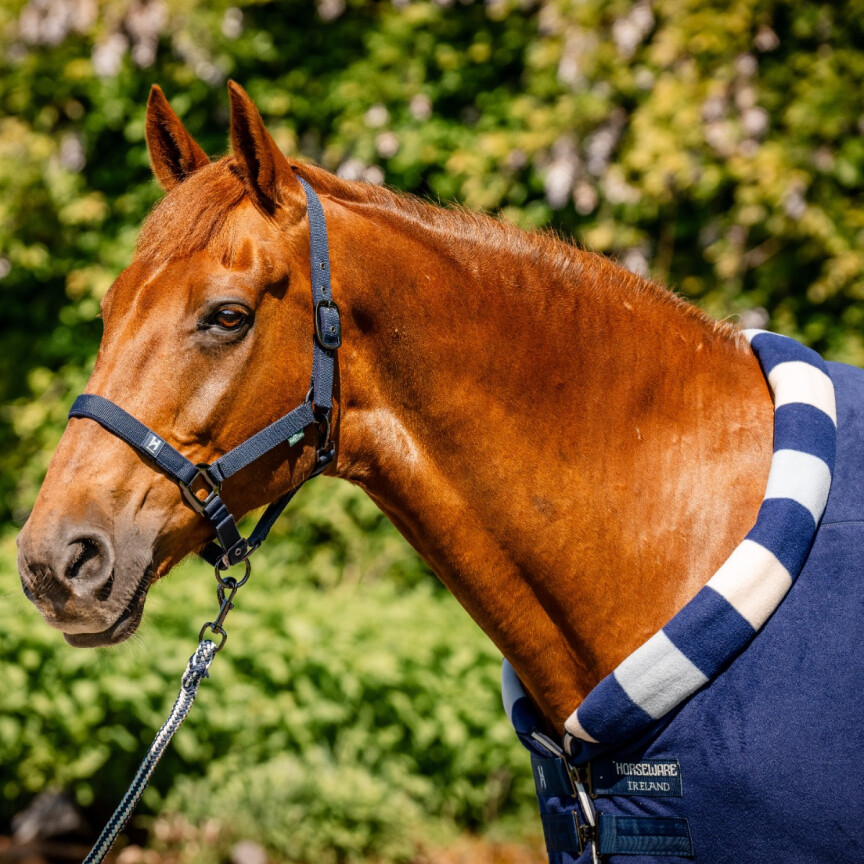 Horseware Newmarket Cosy Fleece Cooler Front
