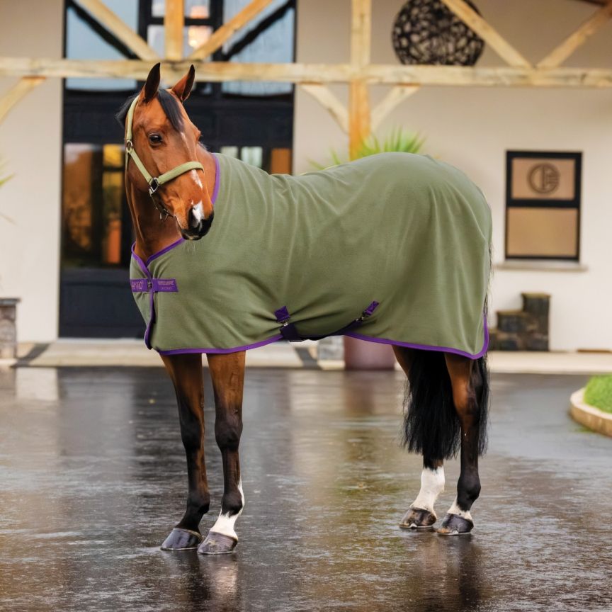 Amigo Fleece Cooler Bramble