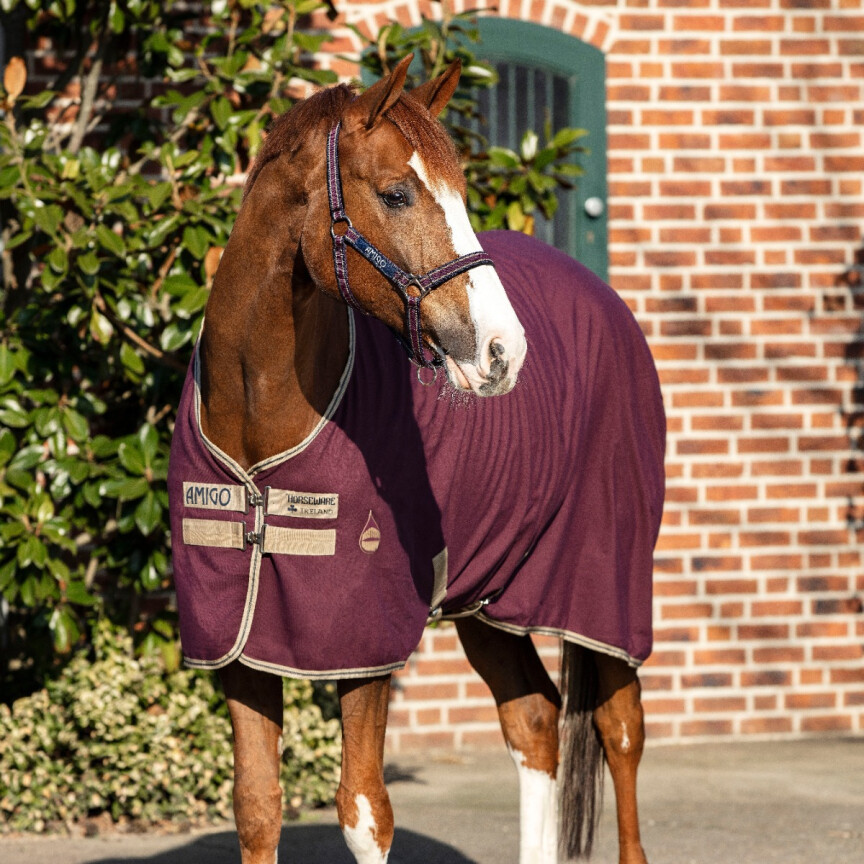 Amigo Summer Sheet Bordeaux