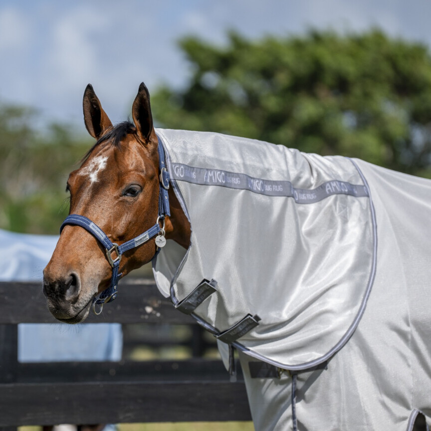 Horseware Amigo Bug Rug Hood