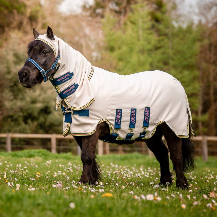 Amigo Ripstop Hoody Petite