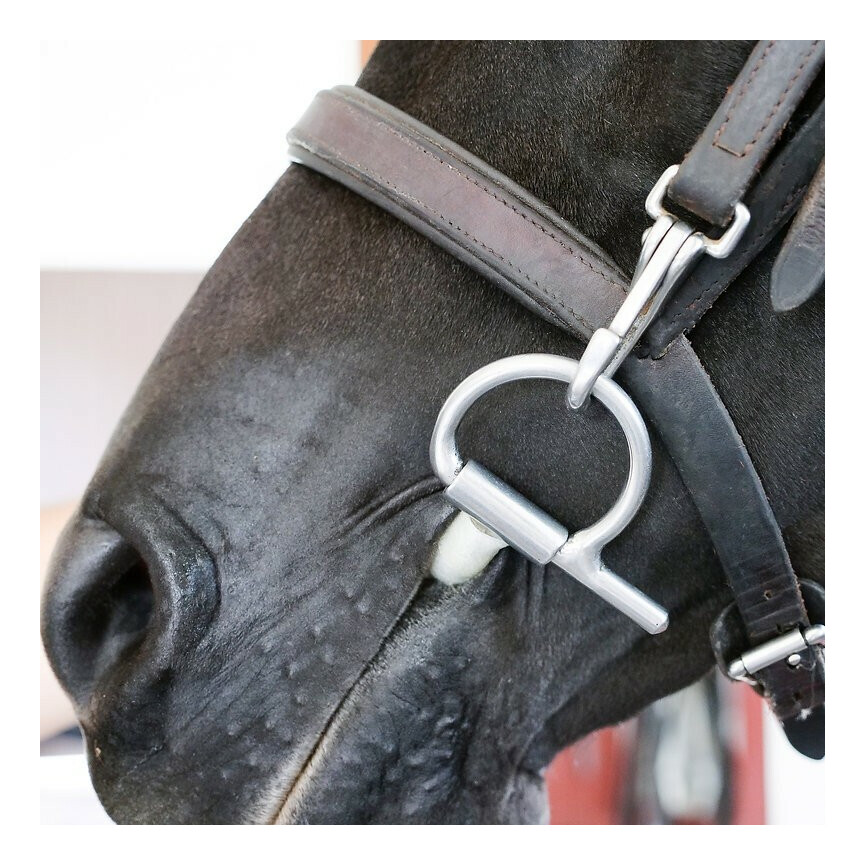 Bit-Tex latex Bit Wrap Horse