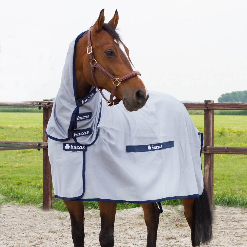 Chemise buzz off intégrale de bucas