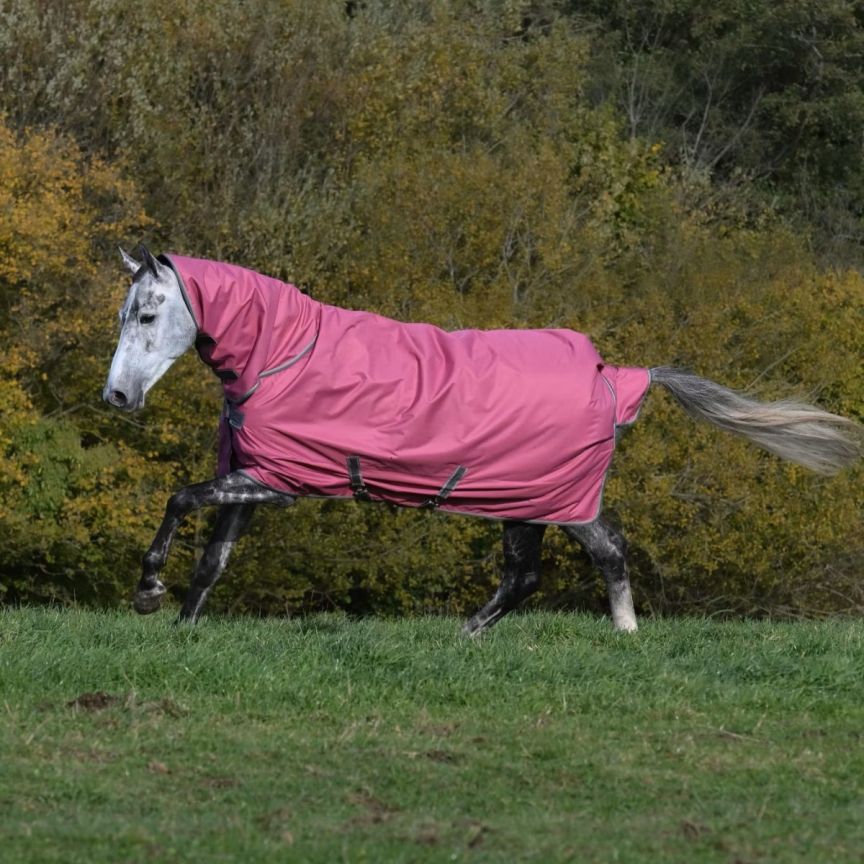 Bucas Freedom Turnout With Neck 300GR Raspberry