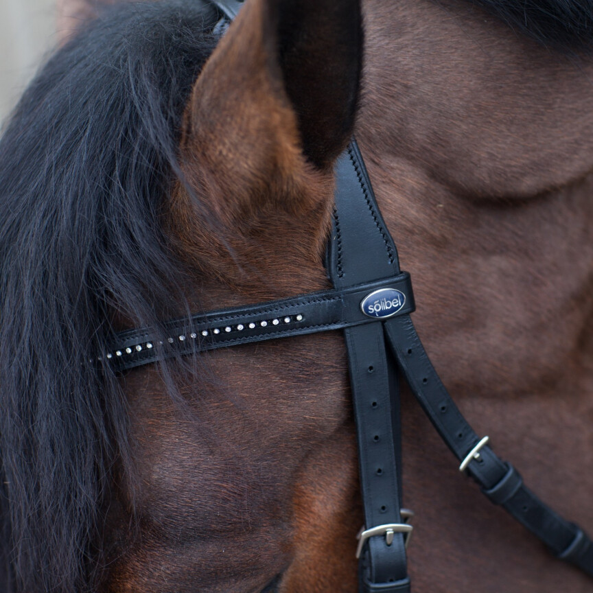 Busse bridle feeling