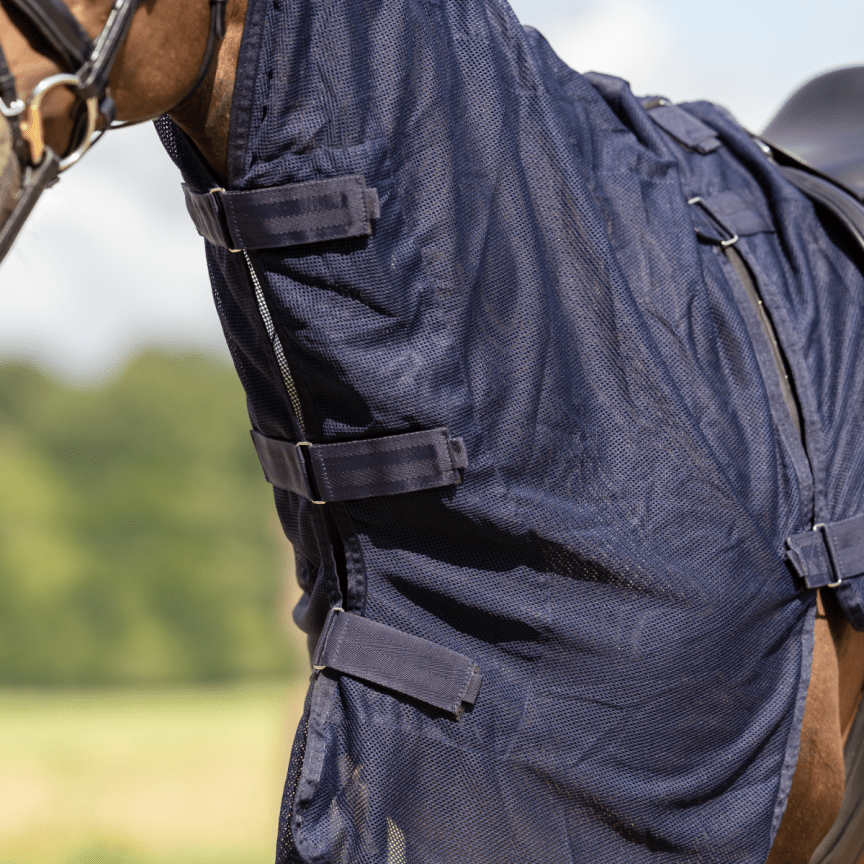Busse Fly Sheet Exercise III Neck
