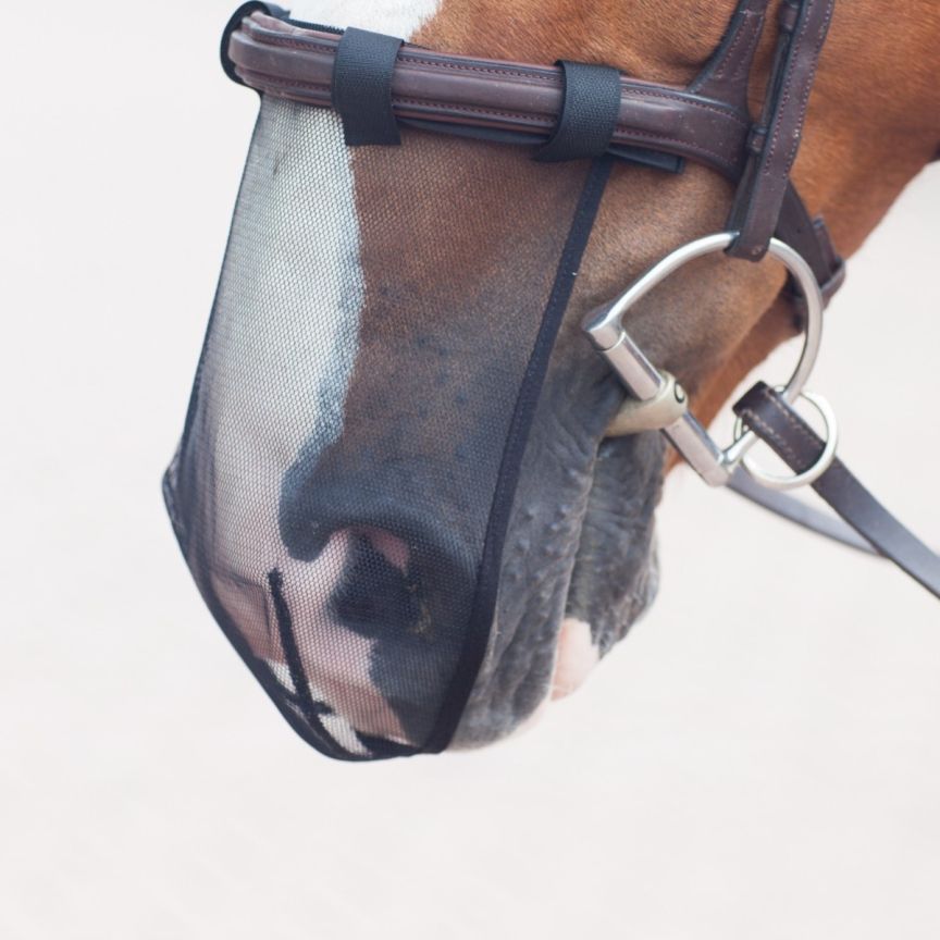Equilibrium Net Relief Muzzle Net