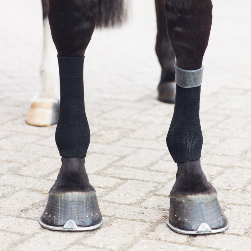 Chaussettes equifit gelsox