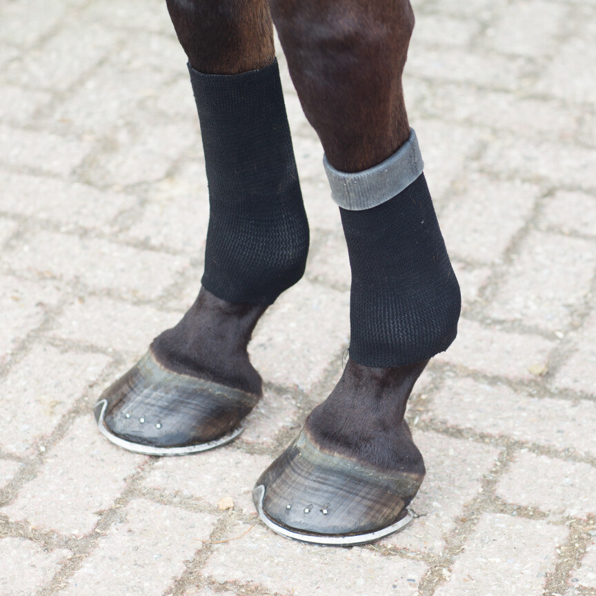 Chaussettes equifit gelsox