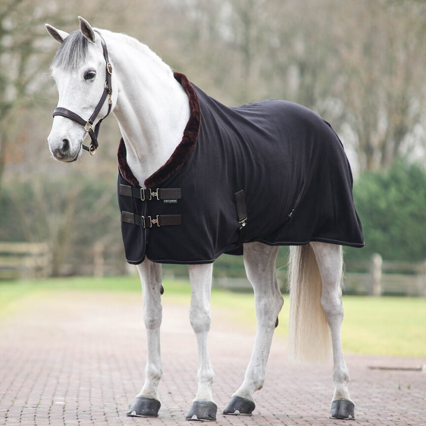 Couverture polaire Equitheme Teddy 