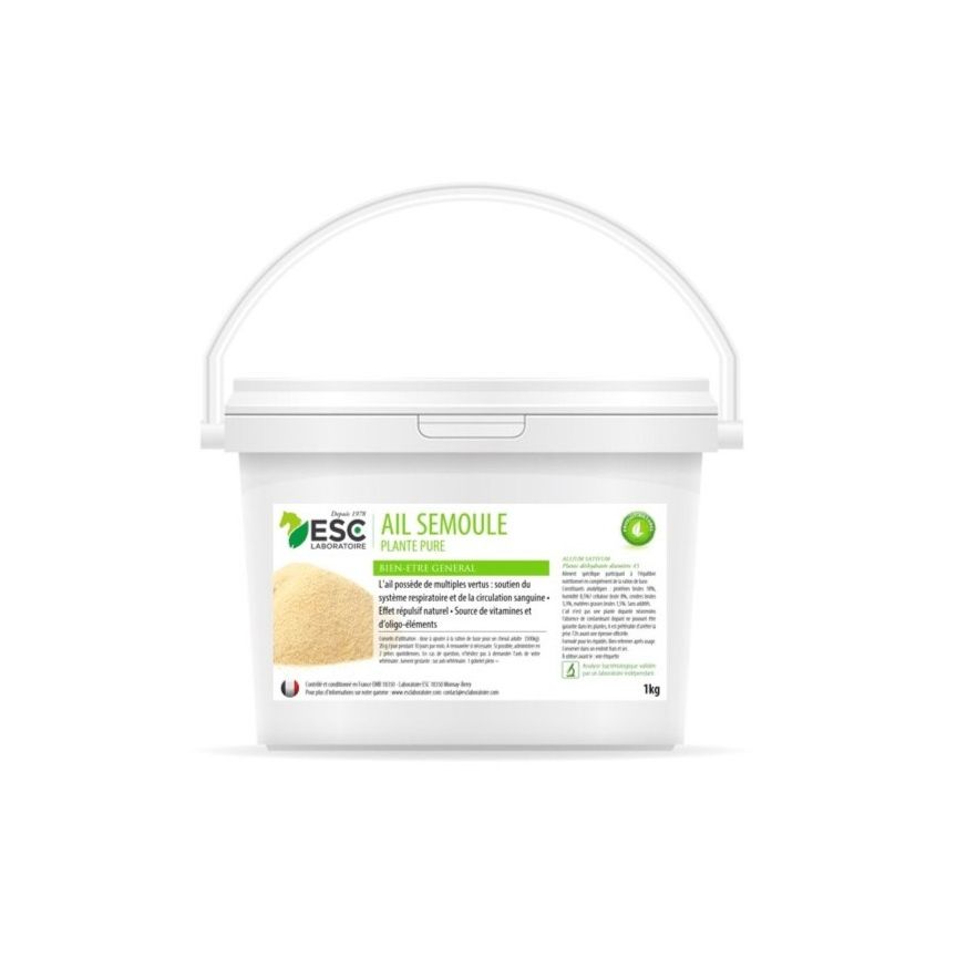 ESC Ail Semoule