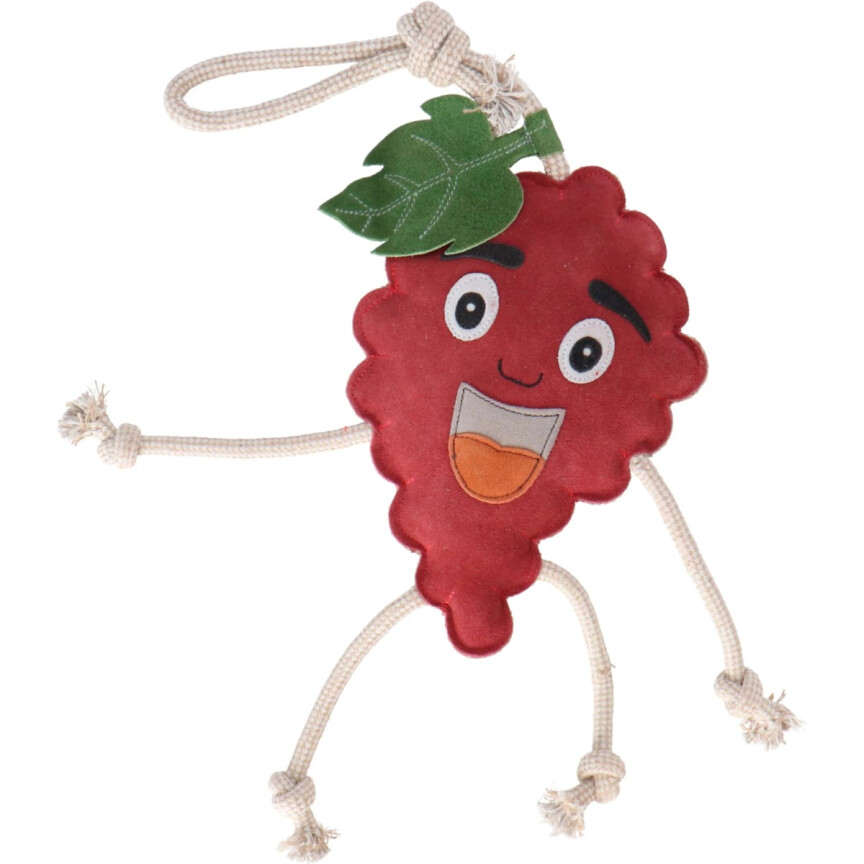 Excellent Horse Foodie Friends Raspberry