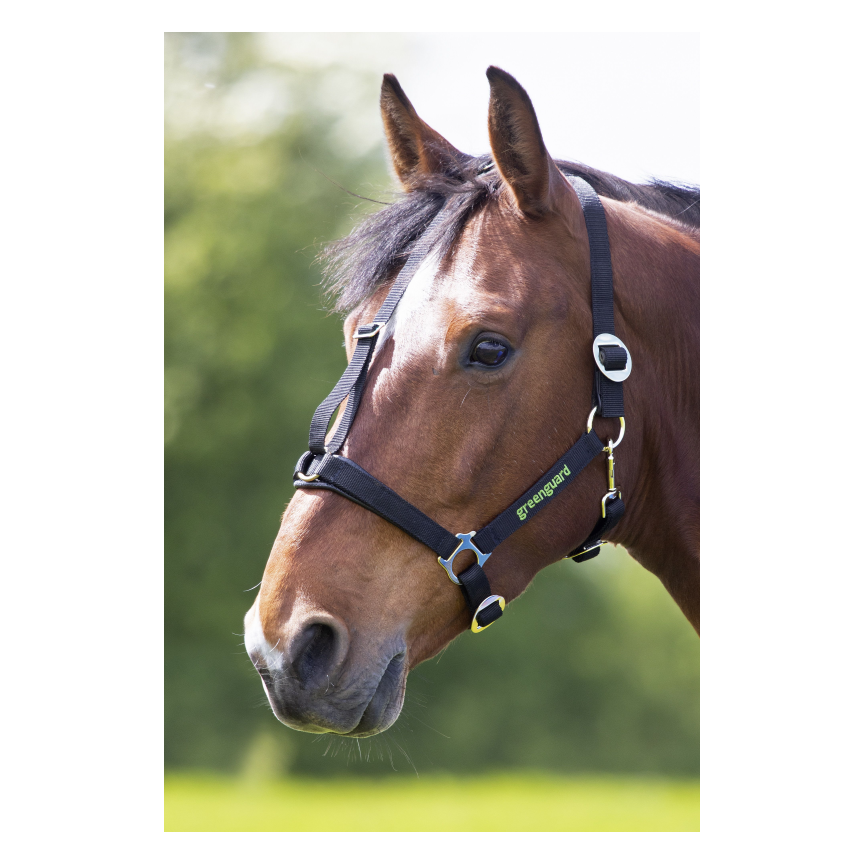 Shires Greenguard Halster