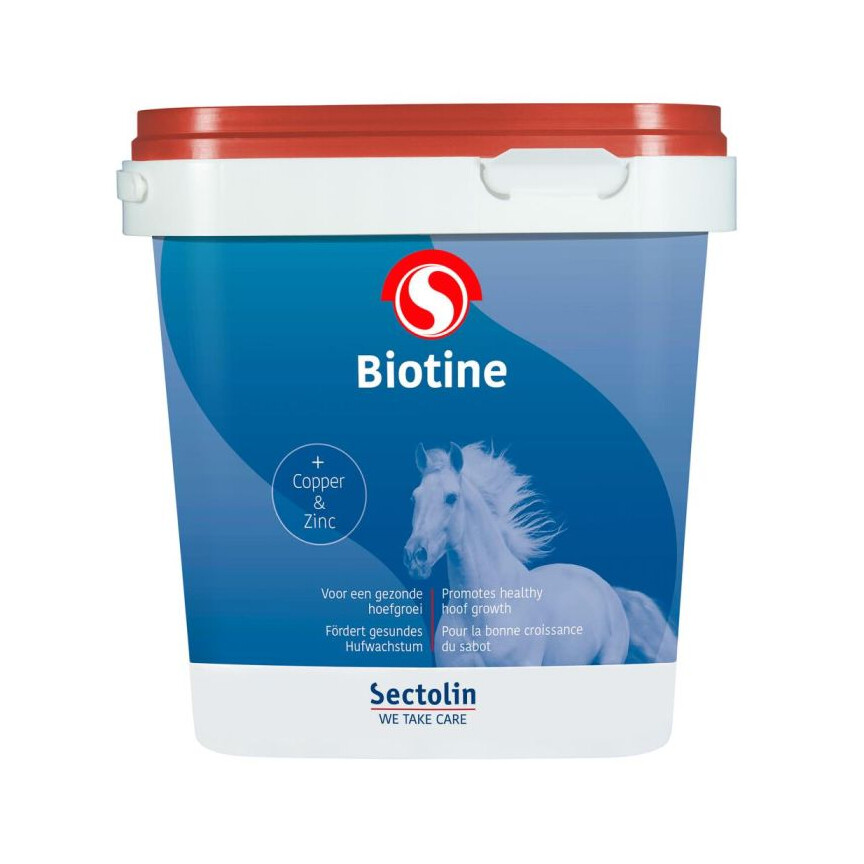 Sectolin Biotine