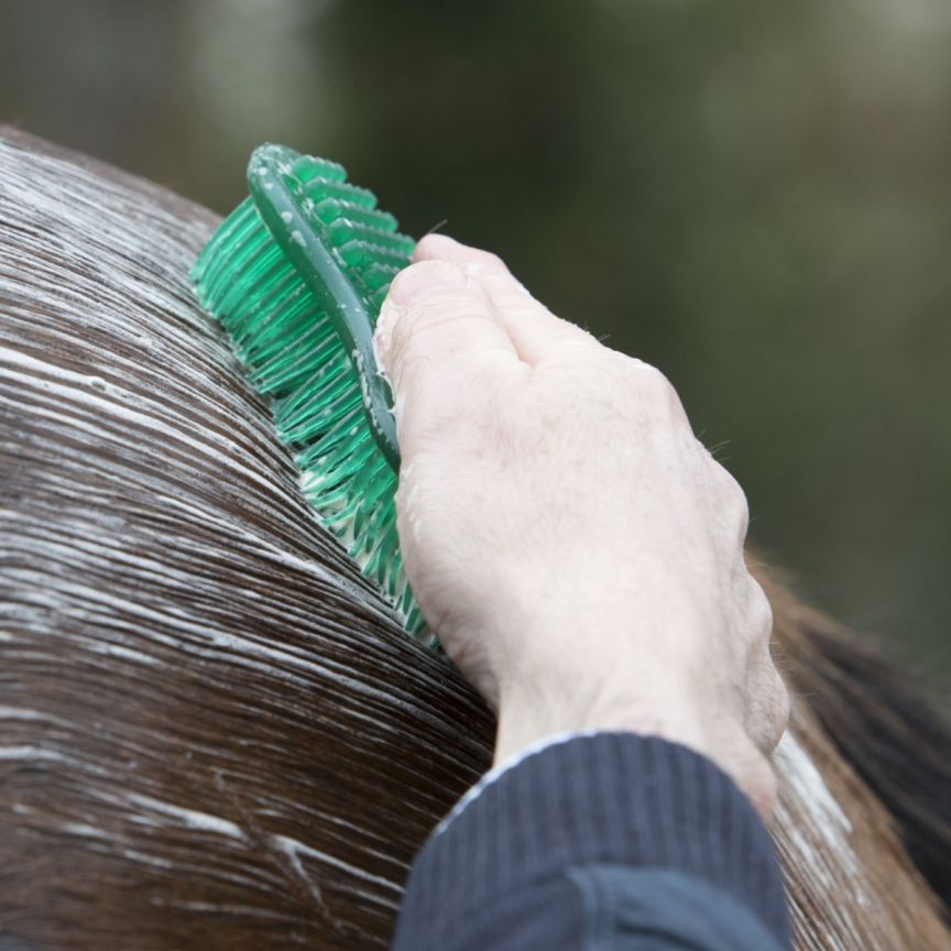 Lemieux Hippo Brush Wash