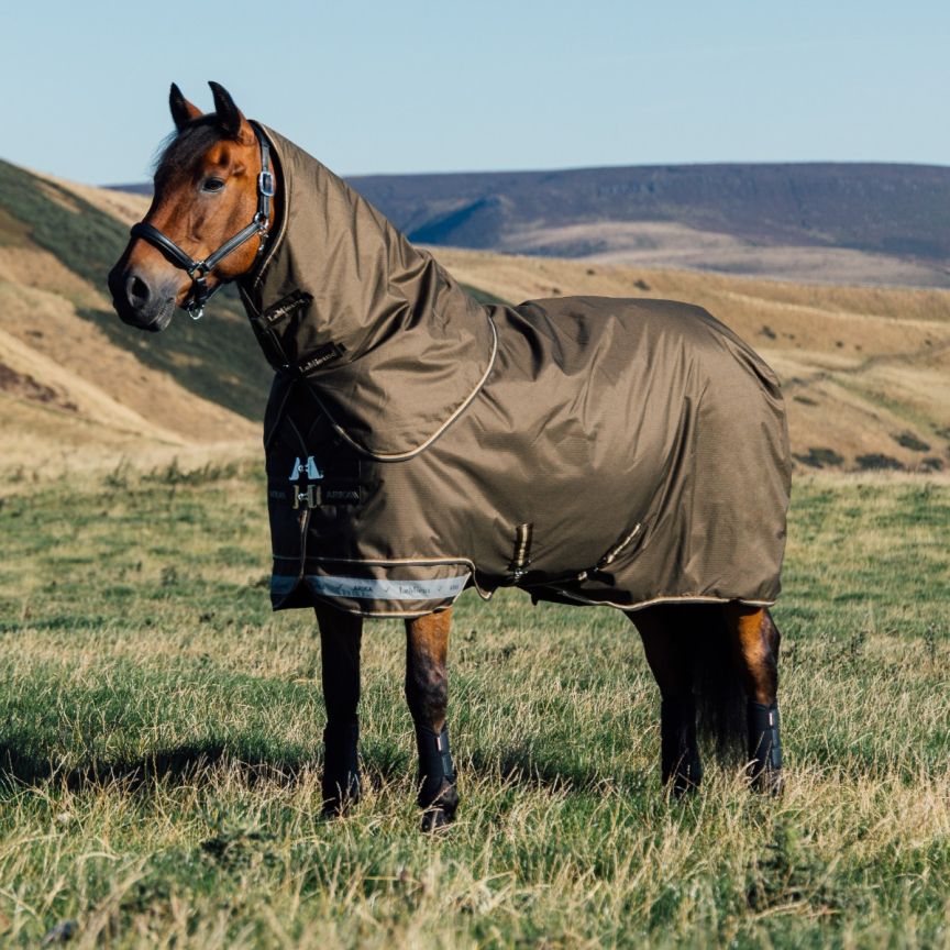Lemieux Arika 600D Winter Rug 200G Alpine