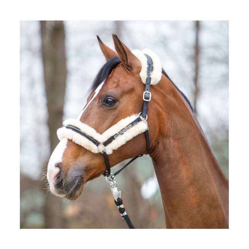 Kavalkade Lederen Halster