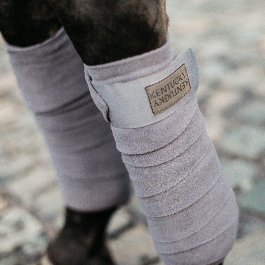 Bandes de polo kentucky 