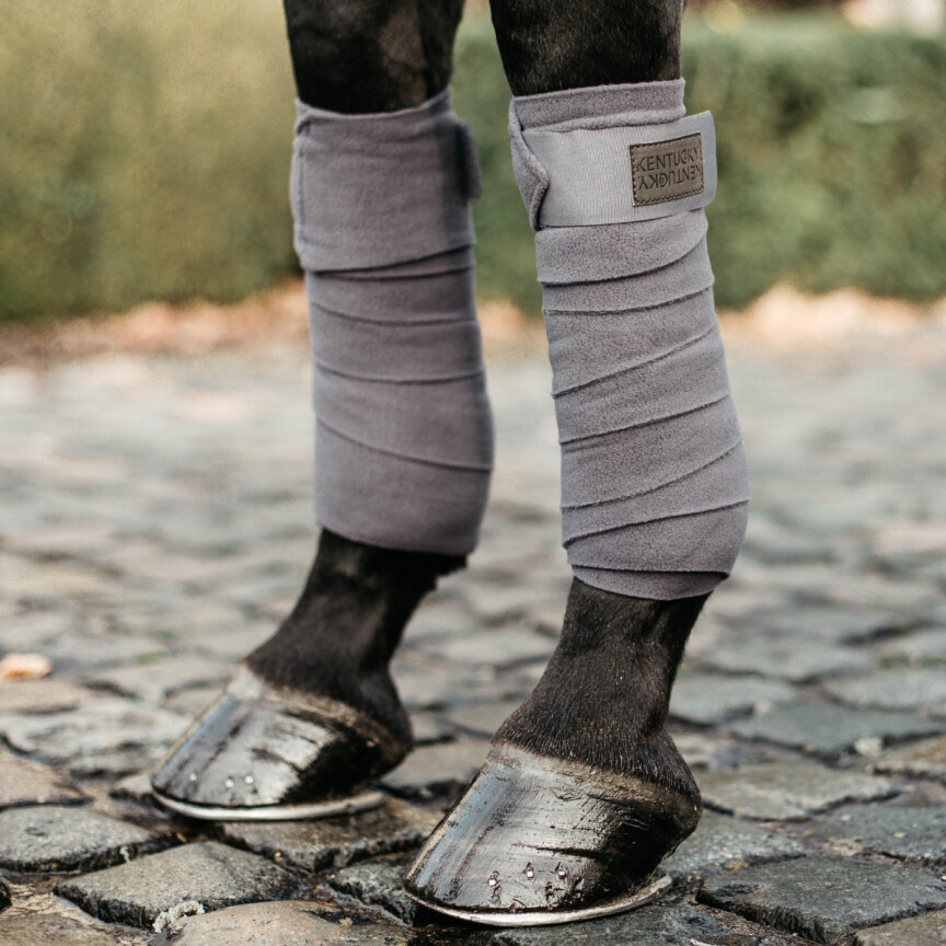 Bandes de polo kentucky 