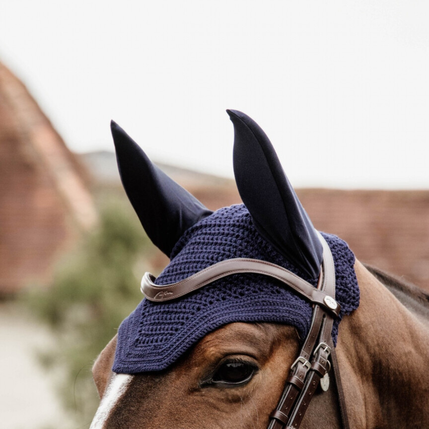 Bonnet Kentucky wellington