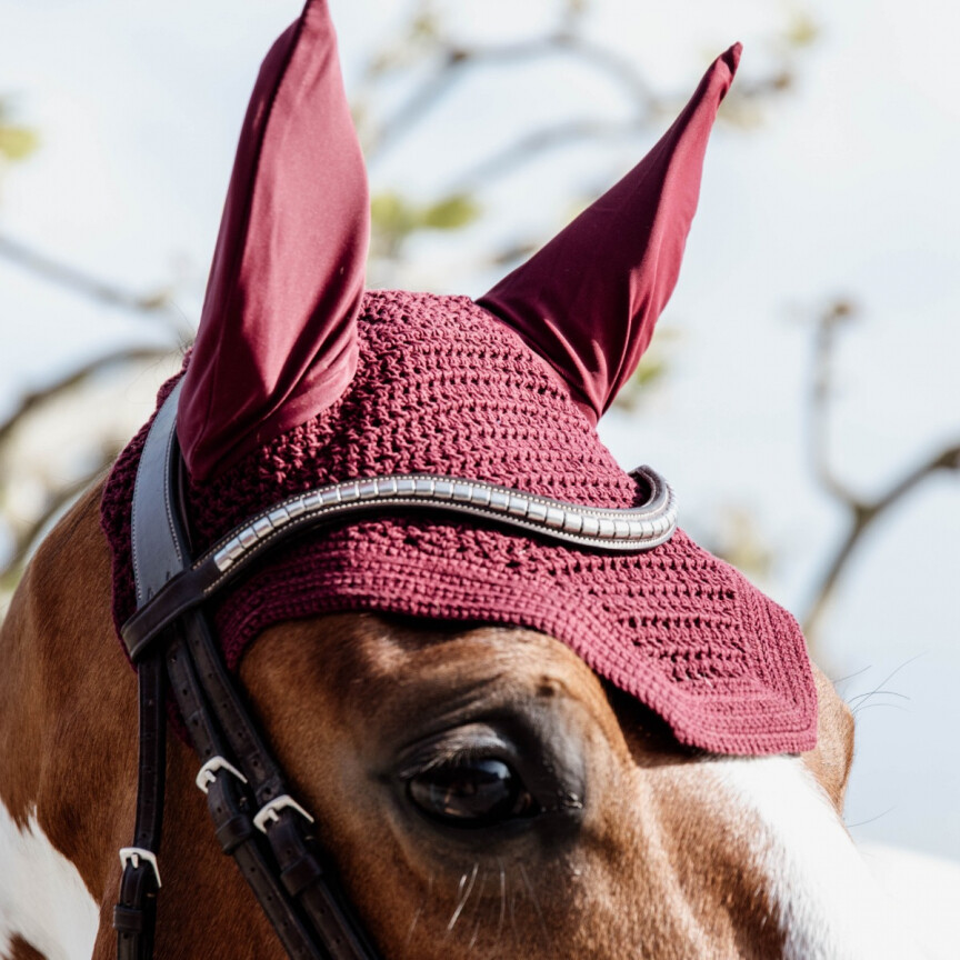 Bonnet Kentucky wellington