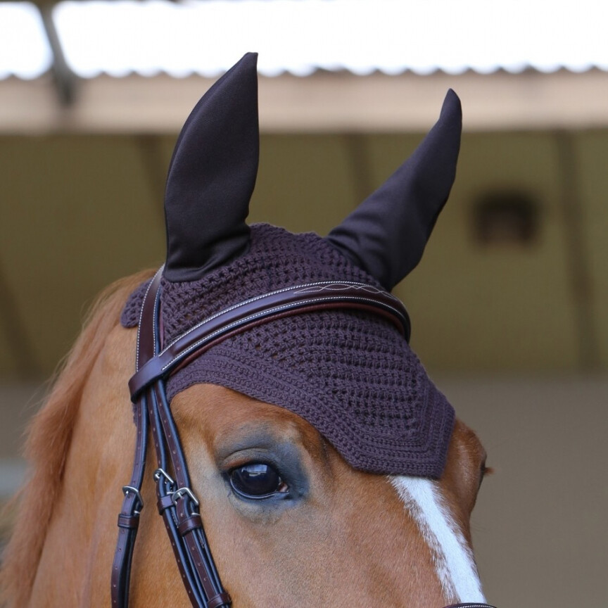 Bonnet Kentucky wellington
