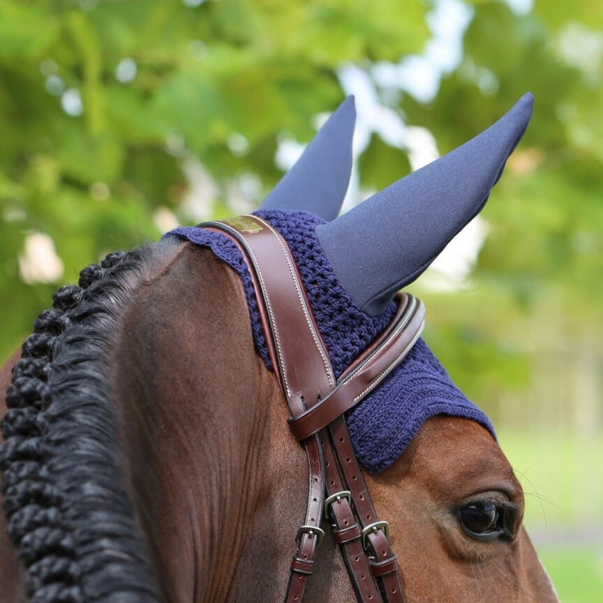 Bonnet Kentucky wellington