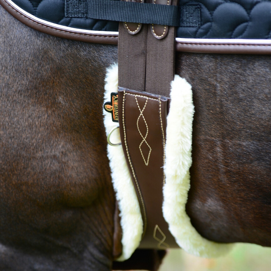 Sangle anatomique mouton kentucky