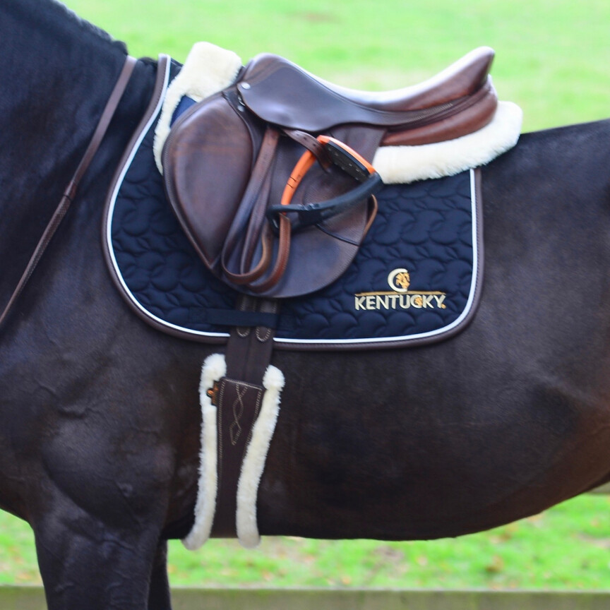 Sangle anatomique mouton kentucky
