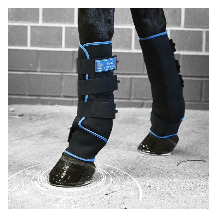 Lami-cell stable boots 