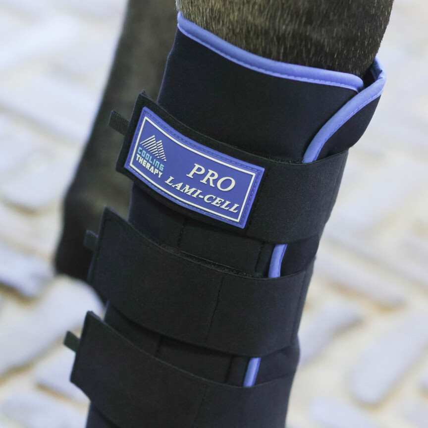 Lami-cell stable boots 