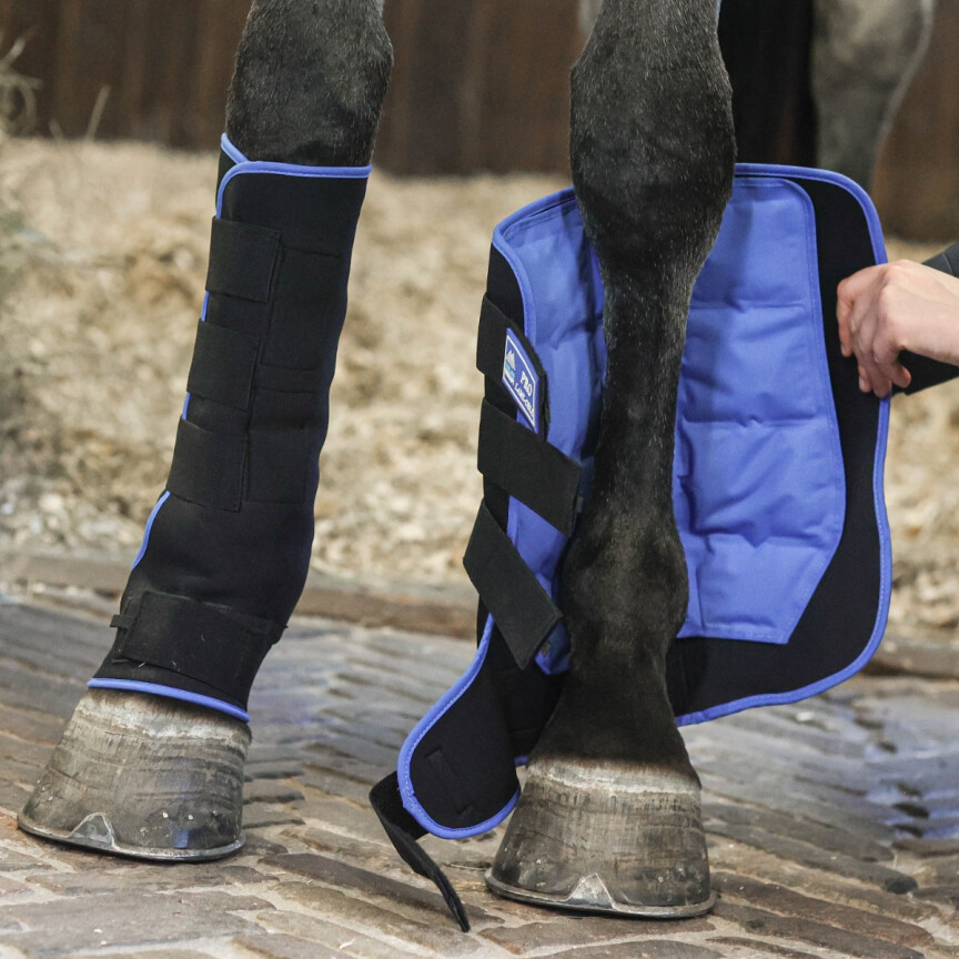 Lami-cell stable boots 