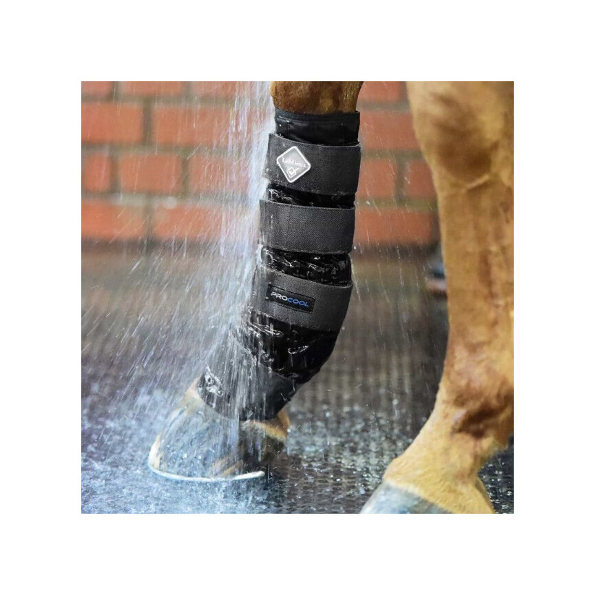 Lemieux Procool Cold Water boots