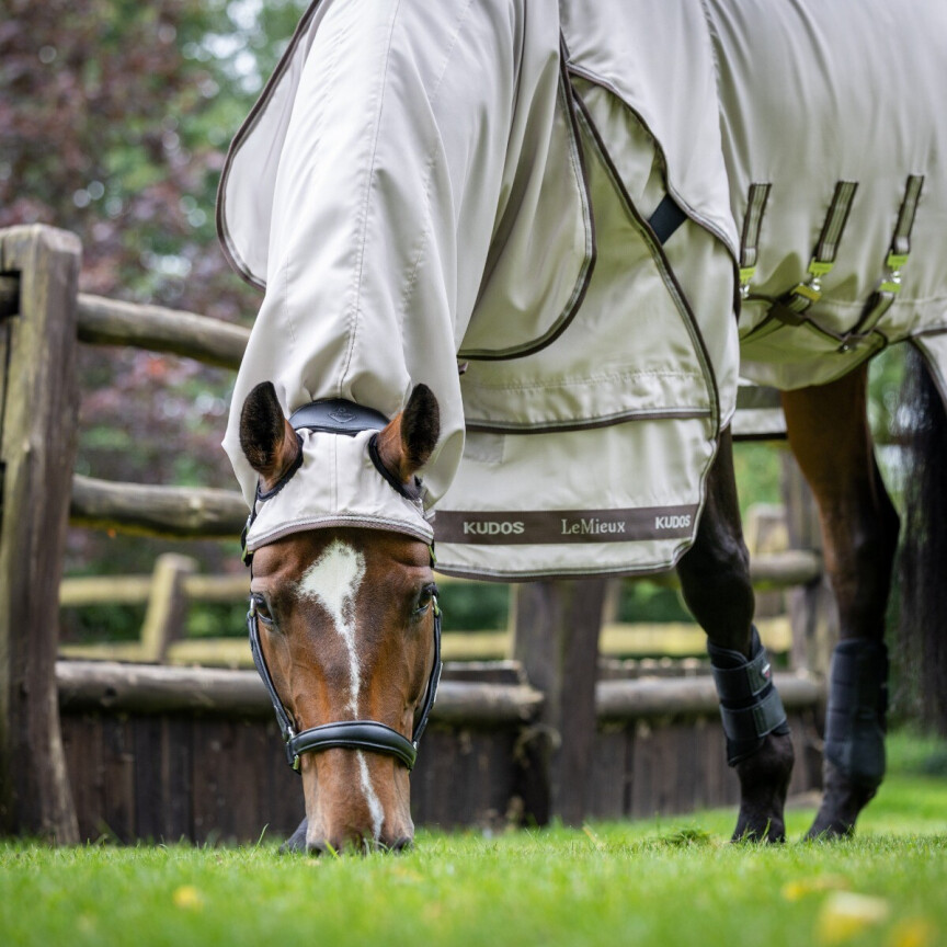 lemieux eczeemdeken paard