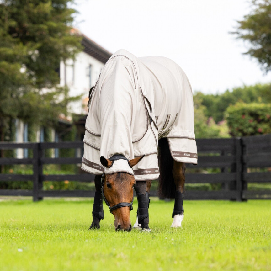 lemieux eczeemdeken paarden