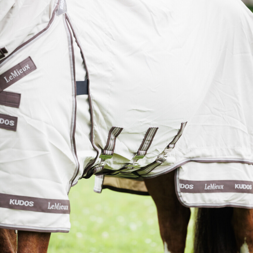 Lemieux Sweet Itch Rug Kudos