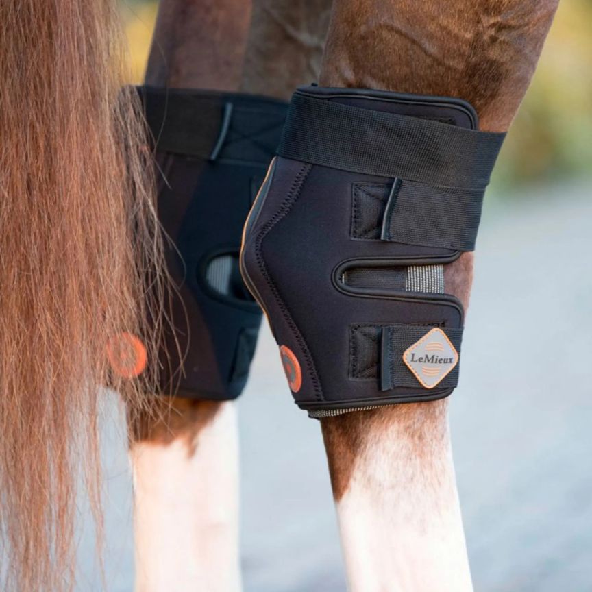 Lemieux Conductive Magno Hock Boots