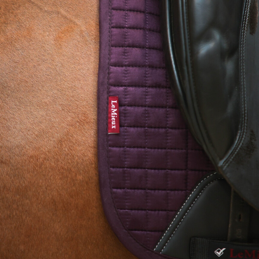 Lemieux zadeldek suede