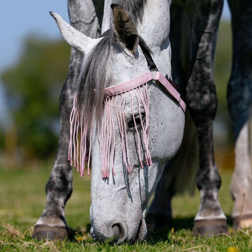 Lemieux Fly Fringe