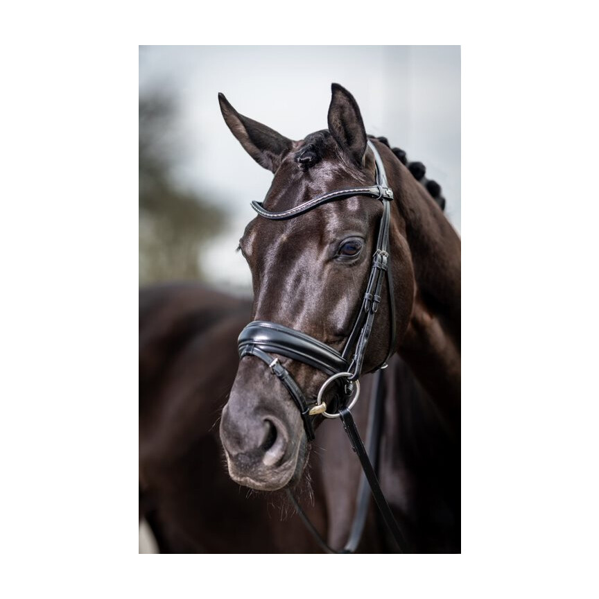 Bridon Lemieux 'Dressage' Kudos