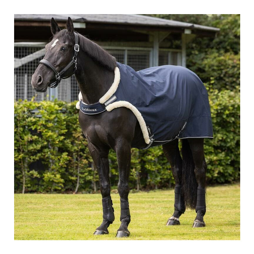 Lemieux Walker Rug Navy