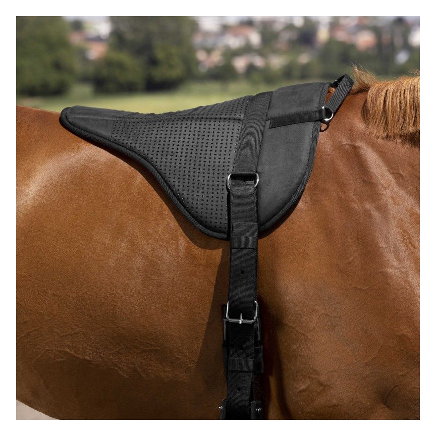 Norton Tapis de monte à cru silicone